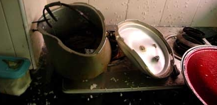 �����Ծȳ��R