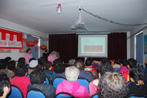 ������ȫ