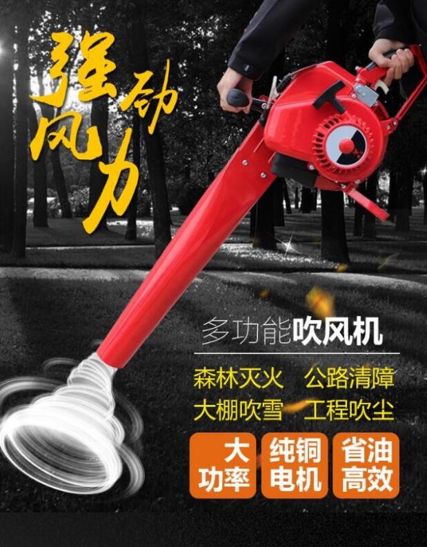 �L�����C