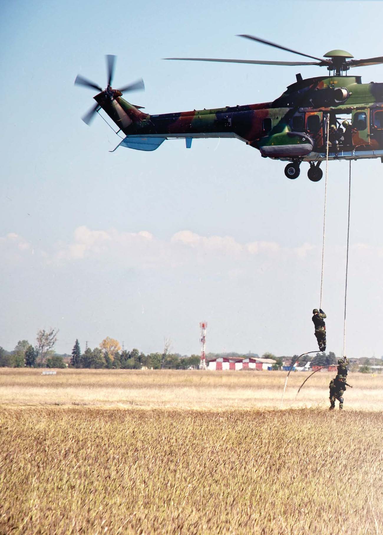 �C���KCE�J�C